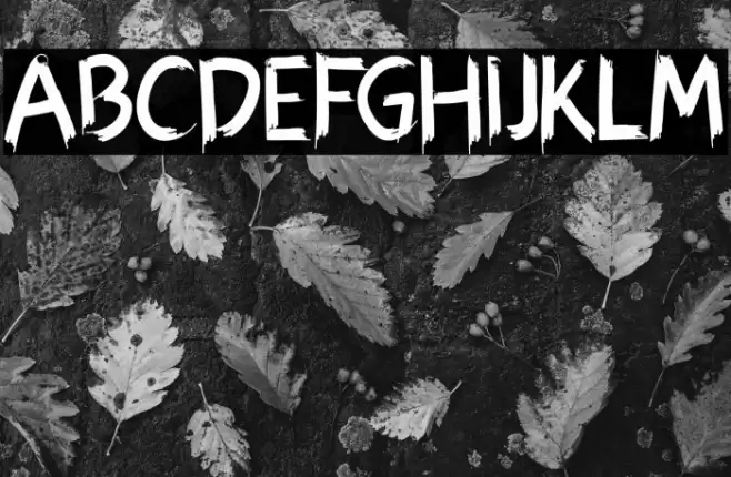 Hexen Bold Font examples