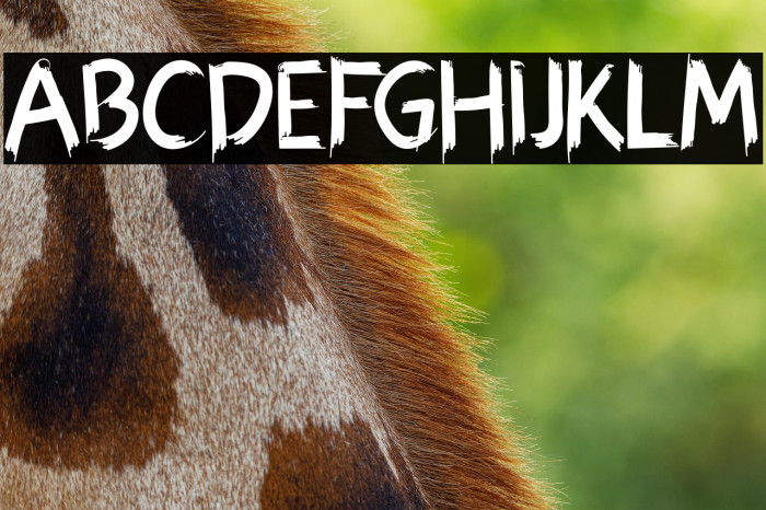 Hexen Bold Example 3