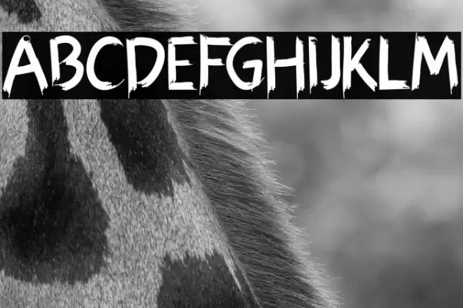 Hexen Bold Font examples