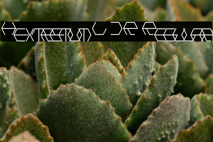 Hextremum LDR Regular Example 2