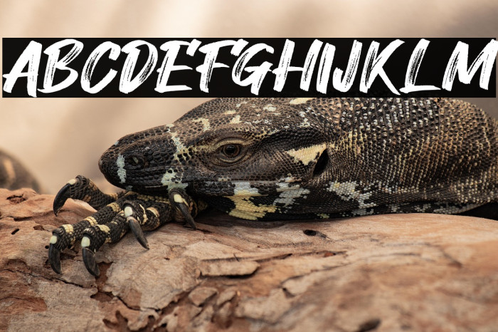 Hey August Example 2