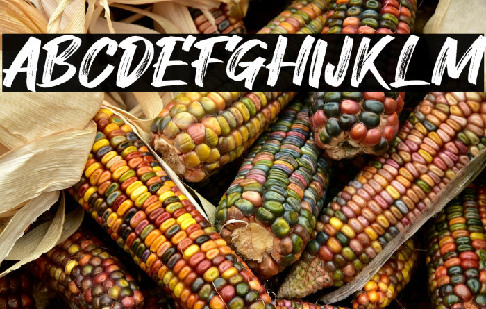 Hey August Example 3