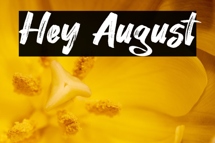 Hey August Example 1