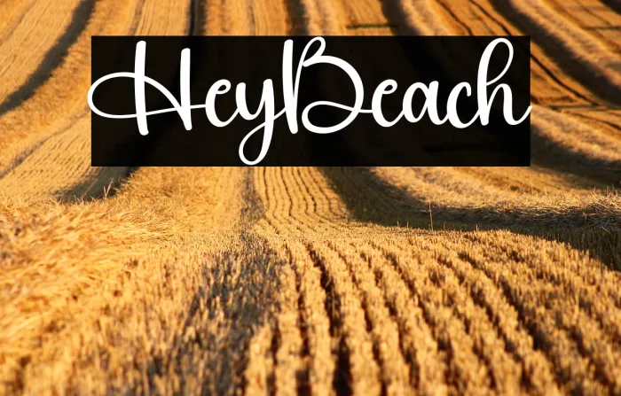 Hey Beach Example 2