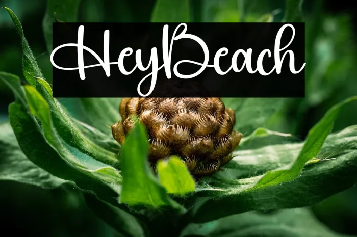 Hey Beach Example 3