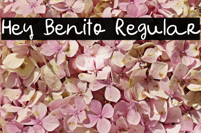 Hey Benito Regular Font examples