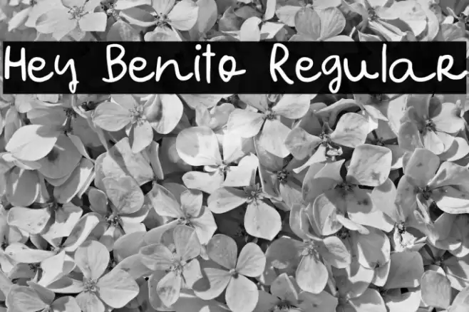 Hey Benito Regular Caratteri examples