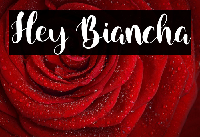 Hey Biancha Example 2