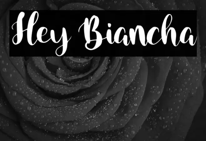 Hey Biancha Font examples