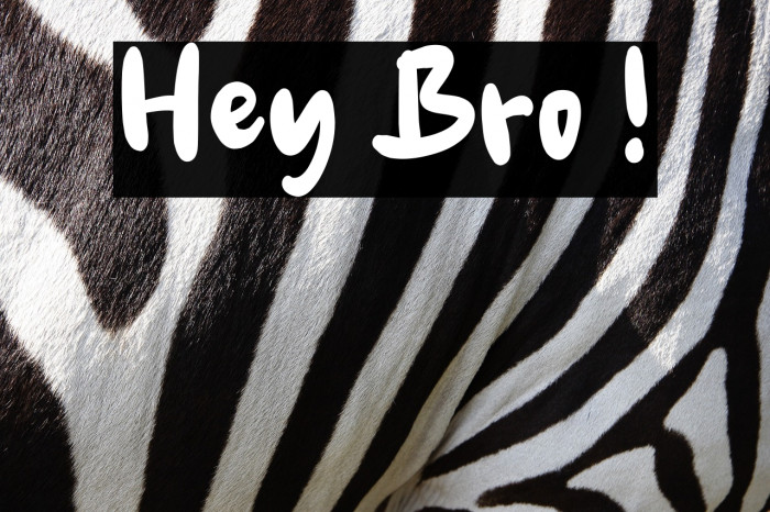Hey Bro ! Schriftart examples