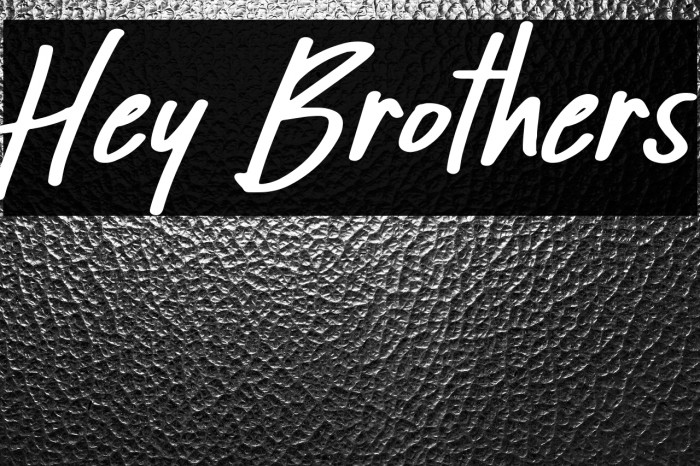 Hey Brothers Example 3