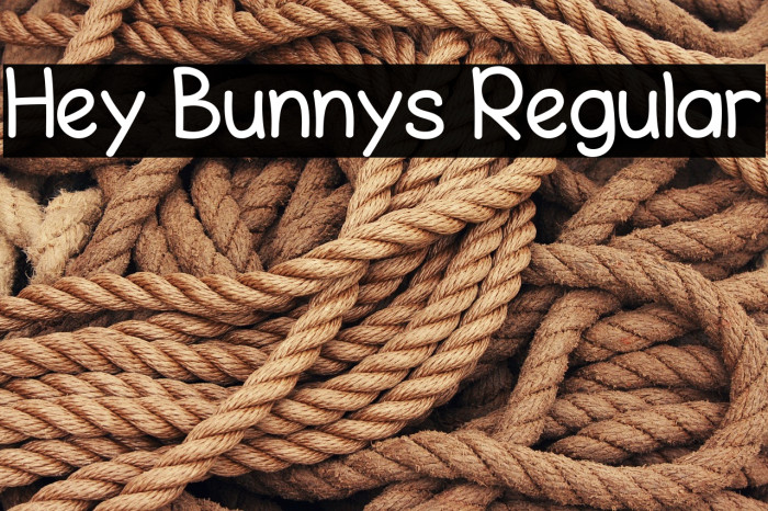 Hey Bunnys Regular Example 1