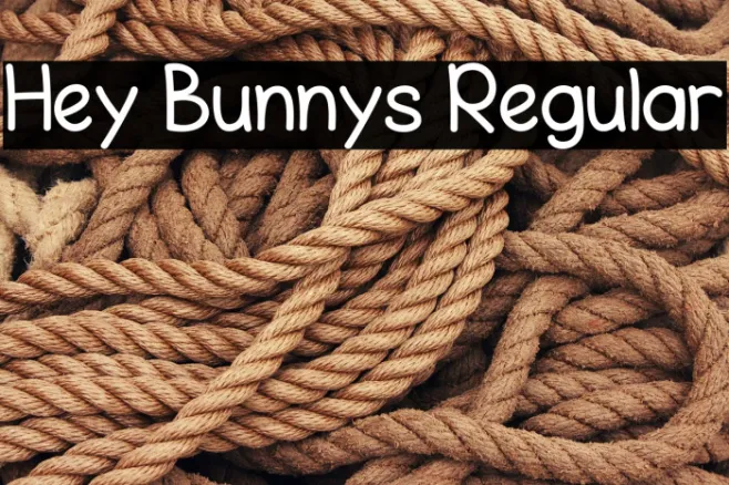 Hey Bunnys Regular Example 1