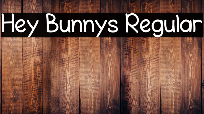 Hey Bunnys Regular Example 2
