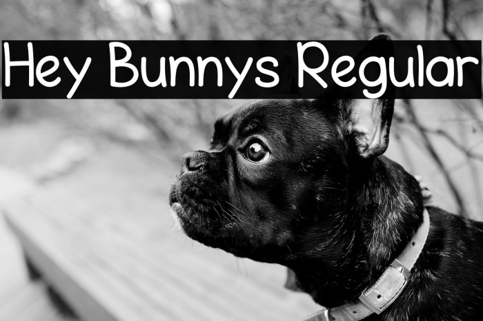 Hey Bunnys Regular Example 3