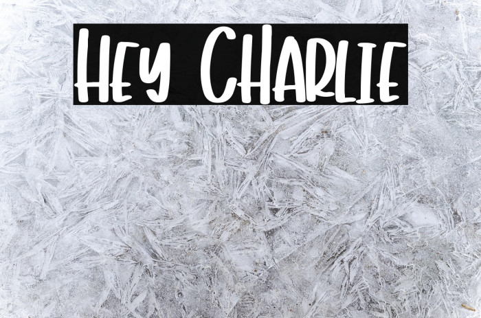 Hey Charlie Example 1