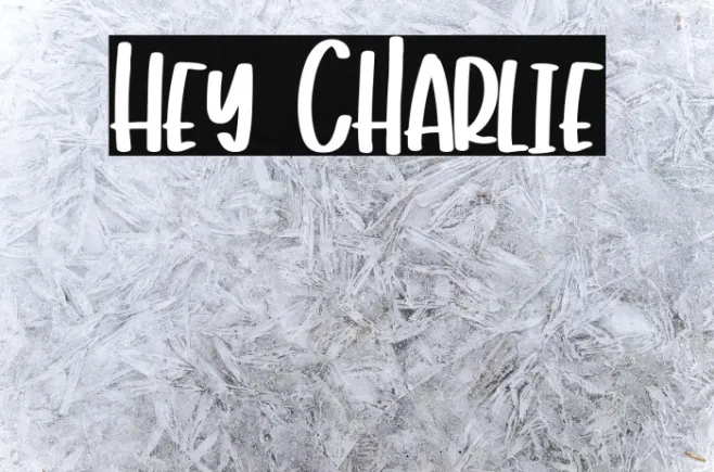 Hey Charlie Example 1