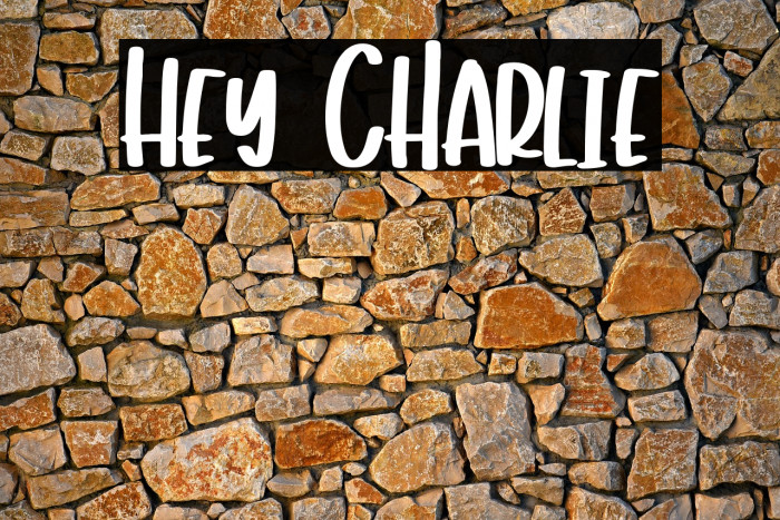 Hey Charlie Example 2