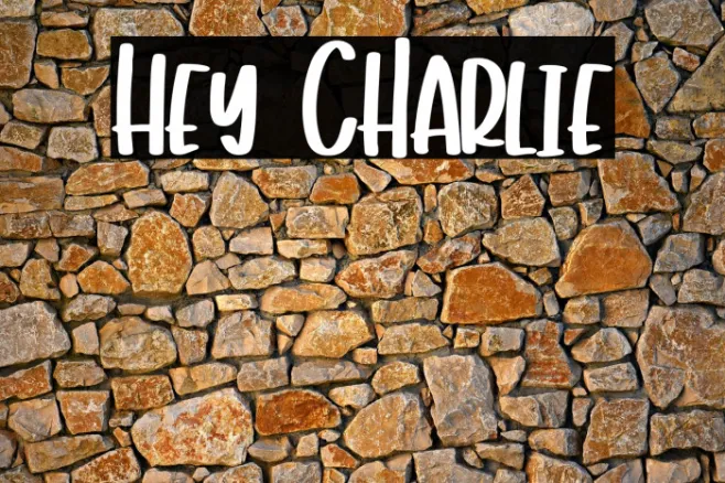 Hey Charlie Example 2