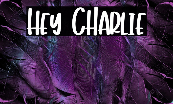 Hey Charlie Example 3