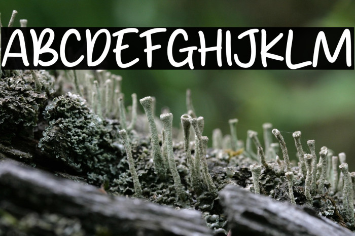 Hey Childs Example 2