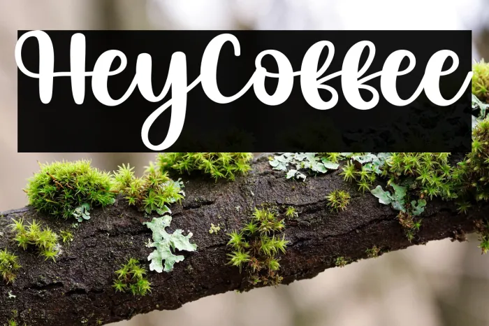 Hey Coffee Example 2