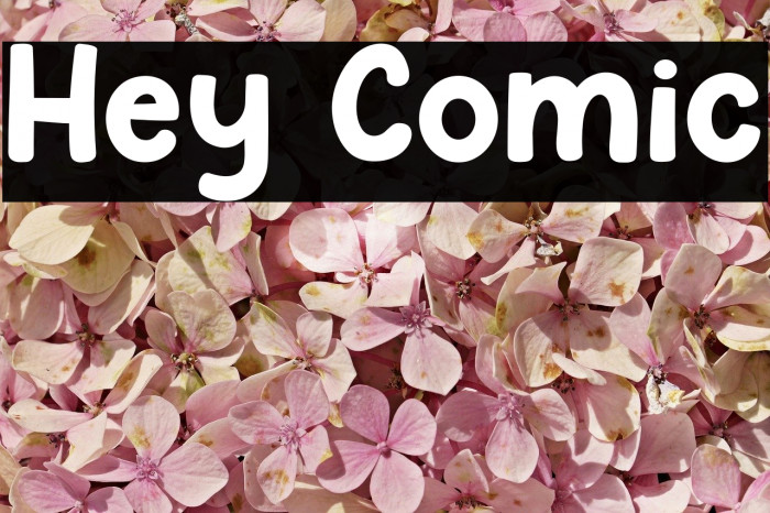 Hey Comic Font examples