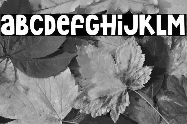 Hey Elsie Font examples