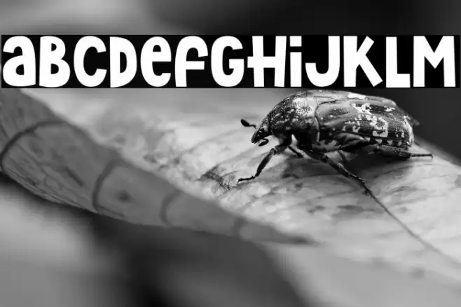 Hey Elsie Font examples