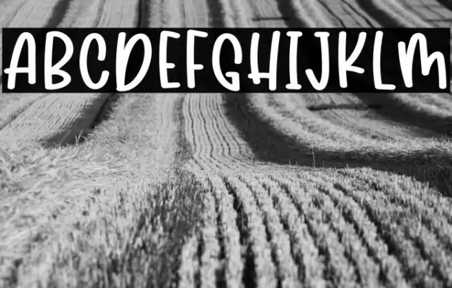 Hey Felix Font examples