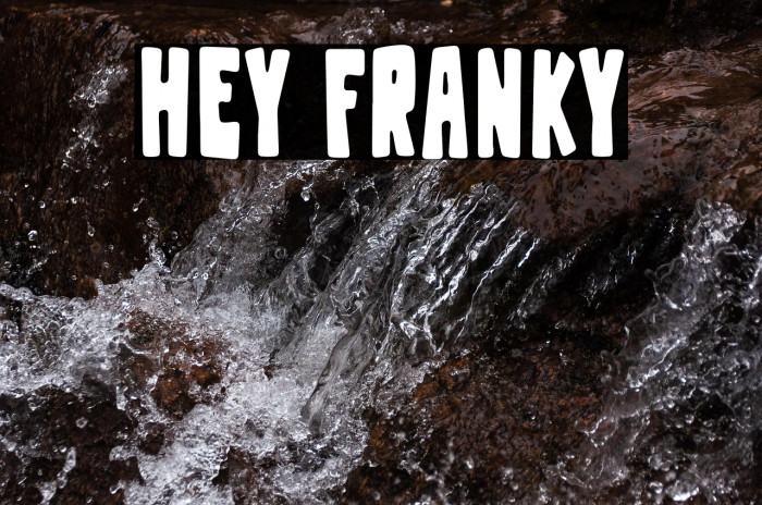 Hey Franky Example 1