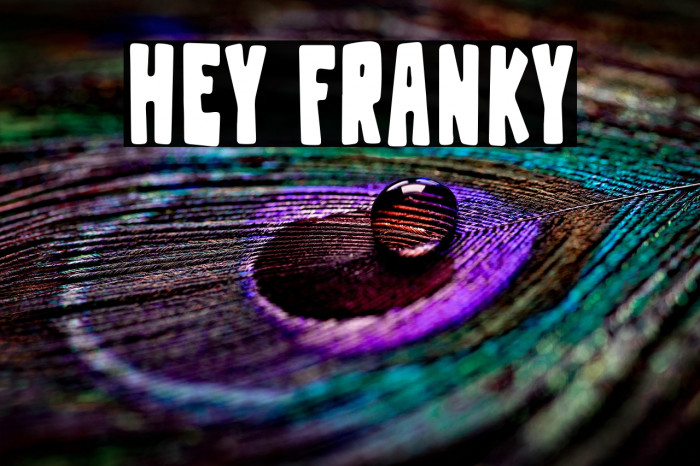Hey Franky Example 3
