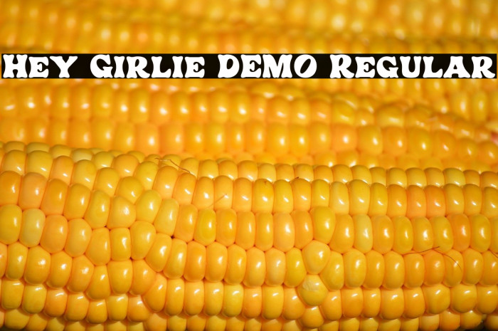Hey Girlie DEMO Regular Example 2