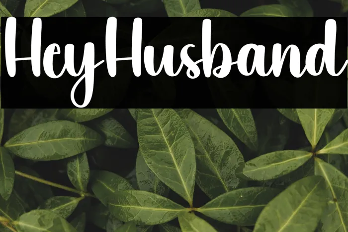Hey Husband Example 2