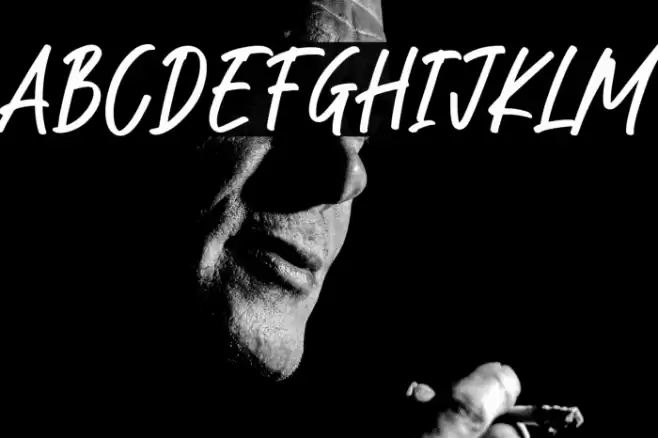 Hey Jelitta Demo フォント examples