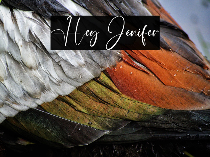 Hey Jenifer Example 2