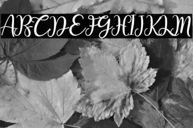 Hey Kans Font examples