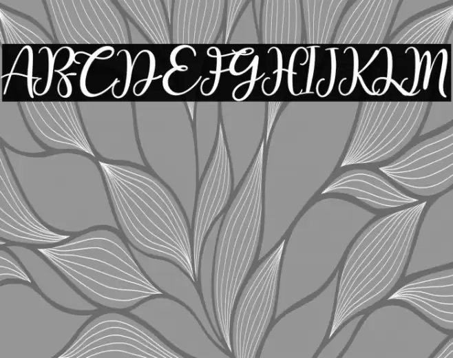 Hey Kans Font examples