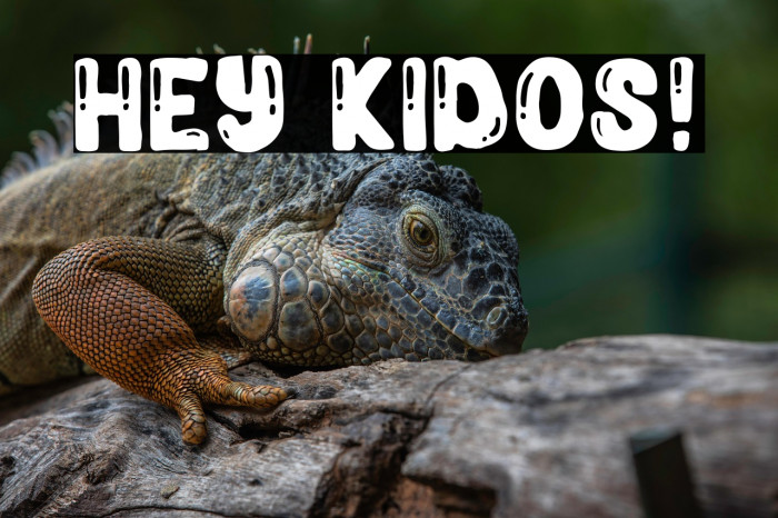 Hey Kidos! Example 3