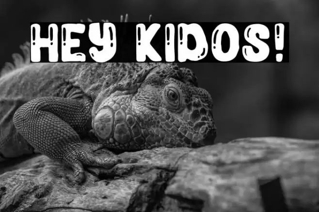 Hey Kidos! Font examples