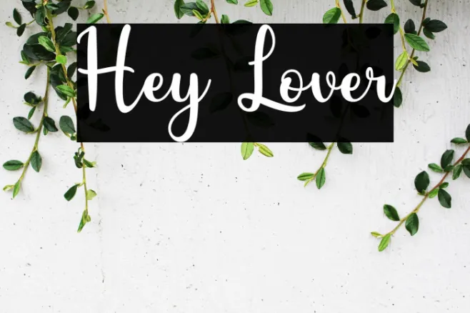 Hey Lover Example 3