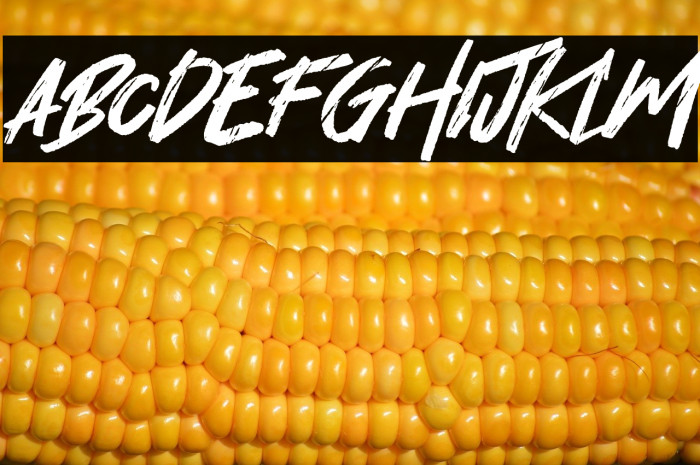 Hey November Example 1