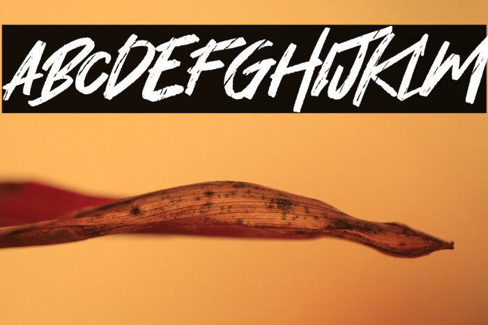 Hey November Example 2