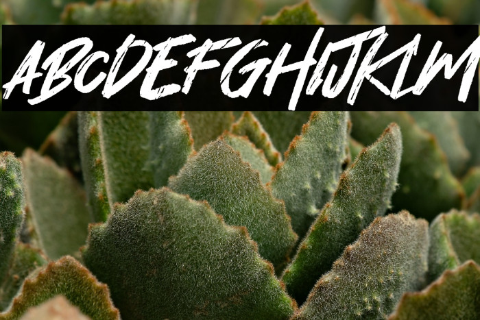 Hey November Example 2