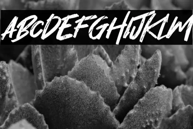 Hey November Font examples