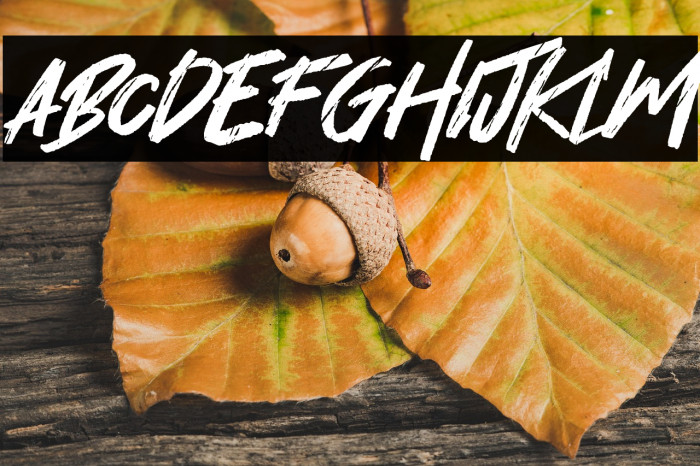 Hey November Example 3