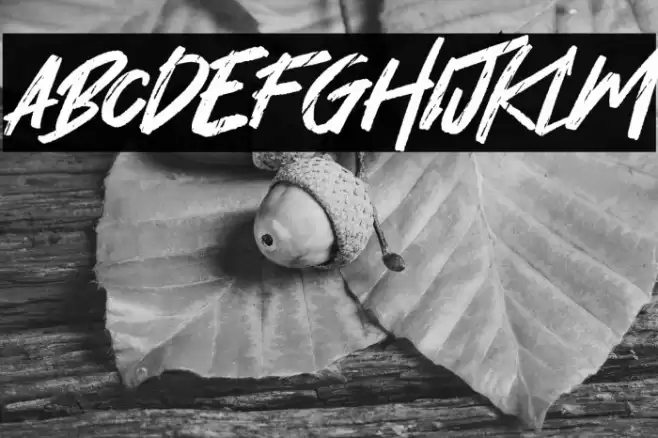 Hey November Font examples