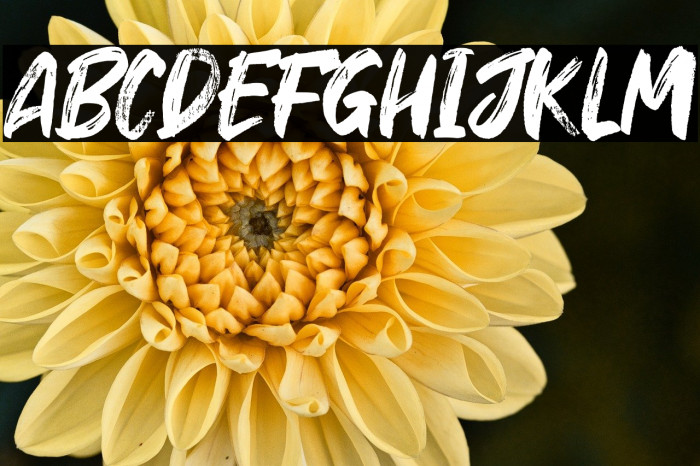 Hey October Example 1