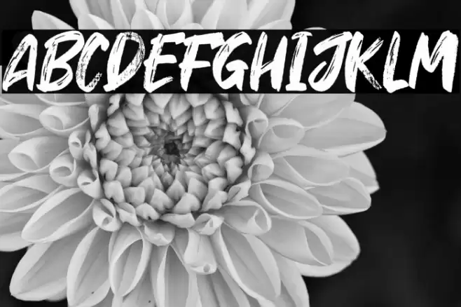 Hey October Font examples