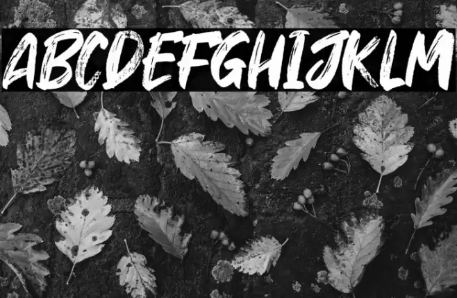 Hey October Font examples